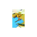 Fiskars Classic - General Purpose Scissors - 21cm