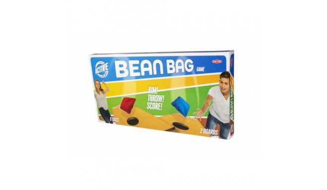 Bean Bag Game outdoor game