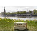 Game Kubb in cardboard box