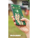 Game Mölkky