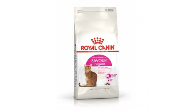Kassitoit Royal Canin Feline Savour Exigent 4kg Täiskasvanu 4 Kg
