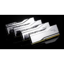 RAM-mälu GSKILL F5-6000J2836G16GX2-TR5S 32 GB DDR5 6000 MHz cl28