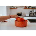Koerte toitja Hunter OSBY Orange