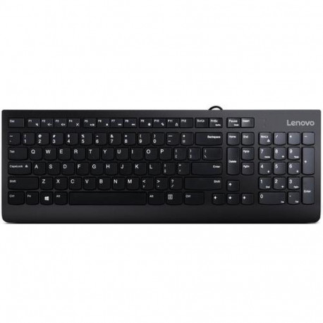 Lenovo 300 keyboard Universal USB QWERTY US English Black