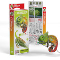 EUGY 3D Cardboard Model Kit - Chameleon