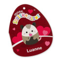 SQUISHMALLOWS pehme mänguasi Sõbrapäeva eri, 30 cm