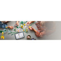 "LEGO Botanicals Kleiner Sommerstrauß10347"