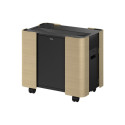 Epson mobiilne A/V kapp ELPCS01