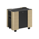 Epson mobiilne A/V kapp ELPCS01