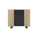 Epson mobiilne A/V kapp ELPCS01