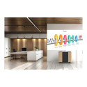 Epson mobiilne A/V kapp ELPCS01
