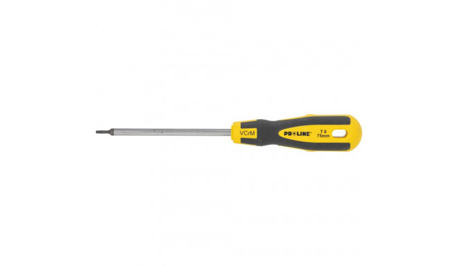 10182 Wkrętak torx T6/75mm