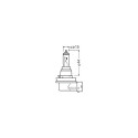 H16L+ 12V 19W PGJ19-3
