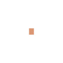 MAC Skinfinish Sunstruck Matte Bronzer (8g)