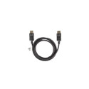DisplayPort Cable - Lanberg 1.8m DisplayPort Black