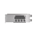 PNY NVIDIA 2000 ADA 16GB MADALPROFIIL, PCIE 4.0 X16, KAHEKORDNE PESA, 4X MINI DP 1.4A, 16 GB GDDR6 E