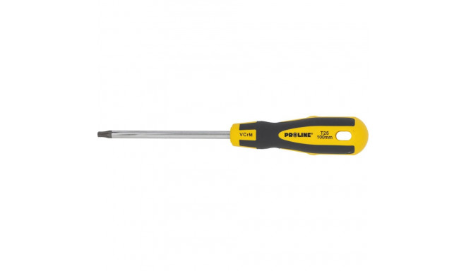10193 turva torx T25 kruvikeeraja