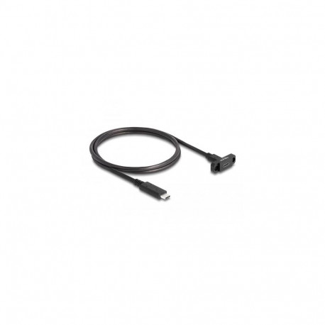 DeLOCK SuperSpeed USB 10 Gbps (USB 3.2 Gen 2) Cable USB Type-C male to female 1 m panel-mount black
