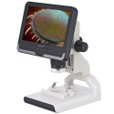 Levenhuk Rainbow DM700 LCD digitaalne mikroskoop