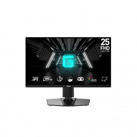 Monitor G255PF E2 24,5 cala LED/FHD/Flat/180Hz/Black