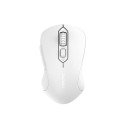 Wireless mouse Dareu LM115G 2.4G 800-1600 DPI (white)