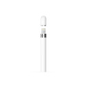 Apple Pencil (1st Generation)