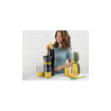 Nutribullet Slow Juicer NBJ500 (grey/black, 150 watts)