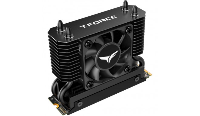 Team Group T-Force GE Pro 4 TB (black/gold, PCIe 5.0 x4 | M.2 2280 | AirFlow I heatsink)