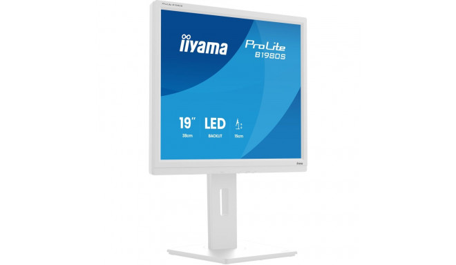Iiyama ProLite B1980S-W1 - 19 - white (matte), SXGA, TN, HDMI, DP, ergonomic stand