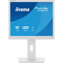 Iiyama ProLite B1980S-W1 - 19 - white (matte), SXGA, TN, HDMI, DP, ergonomic stand