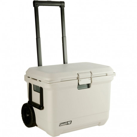 PRO 55QT (beige, mit Rollen)