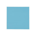 Thermal Grizzly Minus Pad Pro - 100x100x1.0mm