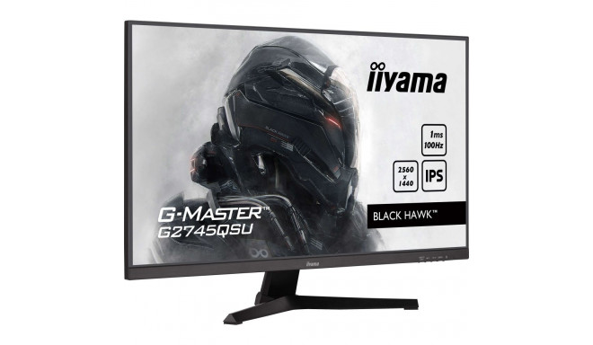 iiyama G-Master G2745QSU-B2, gaming monitor - 27 - black (matt), QHD, IPS, Adaptive-Sync