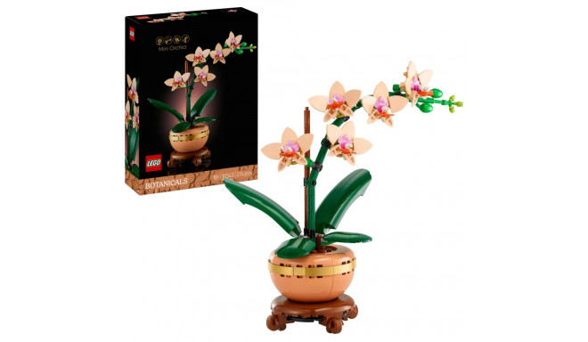 Botanicals miniorkidee 10343