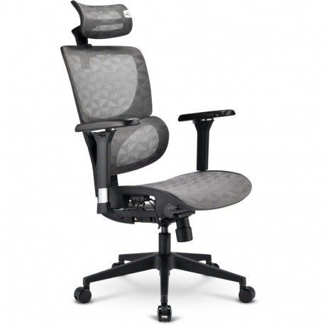 Bürostuhl OfficePal C40M (grau)