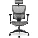 Sharkoon office chair OfficePal C40M (grey)