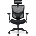 Sharkoon office chair OfficePal C40 (black)