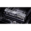 G.Skill DDR5 - 32GB - 6400 - CL - 30 (2x 16 GB) dual kit, RAM (silver, F5-6400J3039G16GX2-TR5S, Trid