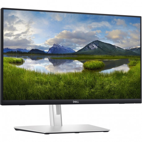 Monitor P2424HT 60.5cm (23.8Zoll) FullHD IPS puuteekraaniga, must/hõbedane