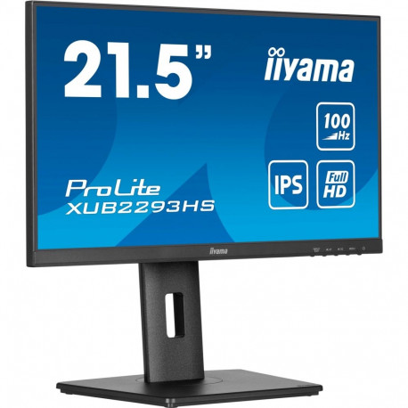 ProLite XUB2293HS-B6 (54.5 cm (21.5 Zoll), schwarz (matt), FullHD, IPS, HDMI, DP, 100Hz Panel)