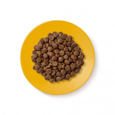 APPLAWS Senior kana kuiv kassitoit 2kg