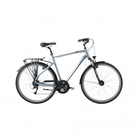 ROMET Wagant 5 (2024) 28" 21" L, hõbe-hall