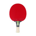 Rakietka do ping ponga Butterfly Dang Qiu DQX1