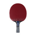 Rakietka do ping ponga Butterfly Dang Qiu DQX2