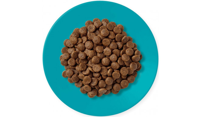 APPLAWS Adult Ocean fish with salmon - dry cat food - 1,8kg