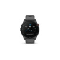 Garmin Forerunner 255 Smartwatch 46mm / Slate Gray