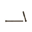 kruvid 4.2x60 T15 PROTECH C4 1750 tk