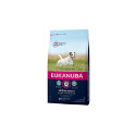 Eukanuba Adult Small kana kuivtoit koertele, 2 kg