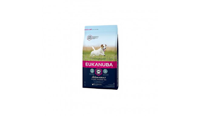 Eukanuba Adult Small kana kuivtoit koertele, 2 kg