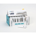 PLATINET TORCH FLASHLIGHT 2W 60LM WHITE 30PCS SET DISPLAY BOX [45769]